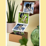 Personalised Fur Baby - Pull Out Photo Box